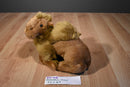 Fiesta Laying Dromedary Camel 2000 Beanbag Plush