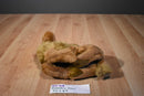 Fiesta Laying Dromedary Camel 2000 Beanbag Plush