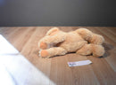 Eddie Bauer Golden Retriever Dog Beanbag Plush