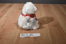 Ganz Winter Cub White Bear in Red White Scarf Beanbag Plush
