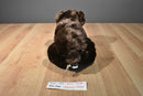 Dan Dee Brown Bear Beanbag Plush