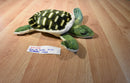 Green Sea Turtle Plush From Aruba