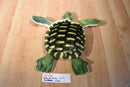 Green Sea Turtle Plush From Aruba