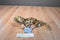 Ganz Webkinz Leopard Lizard Beanbag Plush HM198 Sealed Code