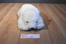 Dakin White Polar Bear With Brown Nose Plush