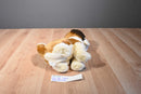 Caltoy Saint Bernard Dog Plush