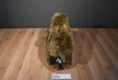Build a Bear Groundhog Punxsutawney Phil Plush