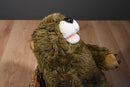 Build a Bear Groundhog Punxsutawney Phil Plush