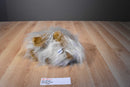 FAO Schwarz Yorkie/Silky Terrier Dog Plush