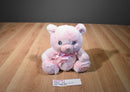 ebba Lil Girl Pink Teddy Bear 2019 Plush