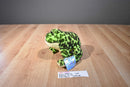 Ganz Webkinz Bullfrog HM114 Beanbag Plush Sealed Code