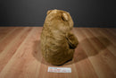 Dakin Lou Rankin Jasper the Brown Grizzly Bear 1990's Plush