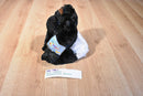 Ganz Webkinz Silverback Gorilla HM335 Sealed Code
