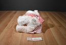 Build a Bear White and Pink Bear Plush Wearing Red Checkered Dress