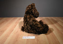 Dan Dee Brown Teddy Bear 2010 Plush