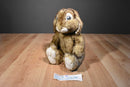 Build a Bear EB the Brown Easter Bunny 2011 Plush With Blue Eyes