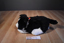 Build a Bear Border Collie Plush and Softcover Book "Floss"