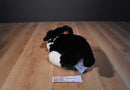 Build a Bear Border Collie Plush and Softcover Book "Floss"