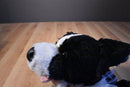 Build a Bear Border Collie Plush and Softcover Book "Floss"