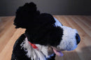 Build a Bear Border Collie Plush and Softcover Book "Floss"