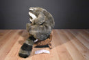 Dakin Lou Rankin Friends Sammy the Raccoon 2000 Beanbag Plush