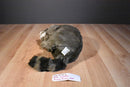 Dakin Lou Rankin Friends Sammy the Raccoon 2000 Beanbag Plush
