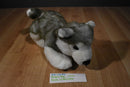 Build a Bear Gray and White Husky Beanbag Plush With Blue Eyes and Red Collar