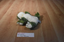Ganz Webkinz Green and Yellow Frog HM001 Sealed Code Beanbag Plush