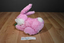 Chrisha Playful Plush Pink and White Bunny Rabbit 2009 Plush with Carrot