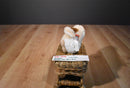 Douglas Rafter the Barn Owl Beanbag Plush