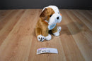 Douglas UHCCF Chewie the English Bulldog Beanbag Plush