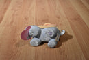 Enesco Tender Tails White Seal and Orange Turtle Beanbag Plush