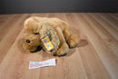 First & Main Menagerie Collection Ginger the Cocker Spaniel Beanbag Plush