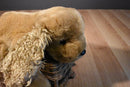 First & Main Menagerie Collection Ginger the Cocker Spaniel Beanbag Plush