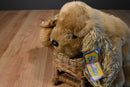 First & Main Menagerie Collection Ginger the Cocker Spaniel Beanbag Plush