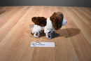 Douglas Mini Flair the Brown and White Springer Spaniel