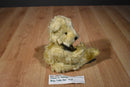 Flowers Inc Balloons Tan Teddy Bear Beanbag Plush