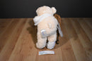 Build a Bear Feel Better Soon Beige Bear Plush
