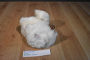 Gund White Maltese Dog Plush