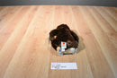 Ganz Webkinz Brown Chimpanzee HM172 Beanbag Plush Sealed Code