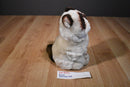 Gund Grumpy the Siamese Cat Plush