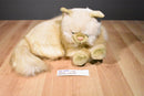 Chosun Long Haired Beige Cat Himalayan Persian Plush