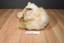 Chosun Long Haired Beige Cat Himalayan Persian Plush