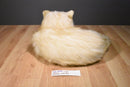 Chosun Long Haired Beige Cat Himalayan Persian Plush