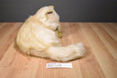 Chosun Long Haired Beige Cat Himalayan Persian Plush