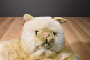 Chosun Long Haired Beige Cat Himalayan Persian Plush