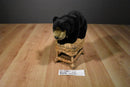 Ganz Webkinz Signature Black Bear WKSS2002 Plush (No Code)