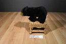 Ganz Webkinz Signature Black Bear WKSS2002 Plush (No Code)