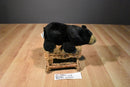 Ganz Webkinz Signature Black Bear WKSS2002 Plush (No Code)