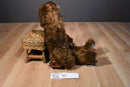 Disney Parks Star Wars Chewbacca 2014 Plush